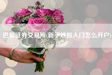 巴黎证券交易所(新手炒股入门怎么开户)