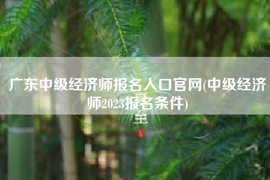 广东中级经济师报名入口官网(中级经济师2023报名条件)