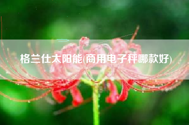 格兰仕太阳能(商用电子秤哪款好)