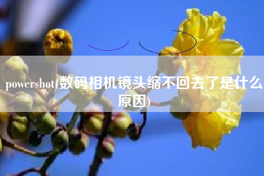 powershot(数码相机镜头缩不回去了是什么原因)