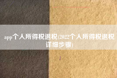 app个人所得税退税(2022个人所得税退税详细步骤)