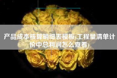 产品成本核算明细表模板(工程量清单计价中总利润怎么查看)
