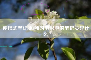 便携式笔记本(断网电影中的笔记本是什么)