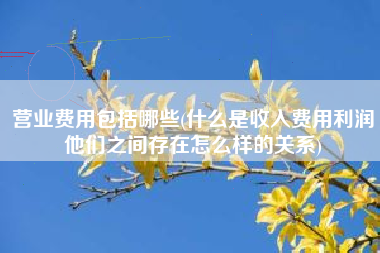 营业费用包括哪些(什么是收入费用利润他们之间存在怎么样的关系)