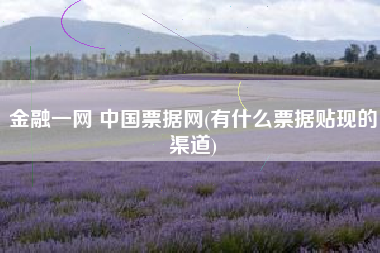 金融一网 中国票据网(有什么票据贴现的渠道)