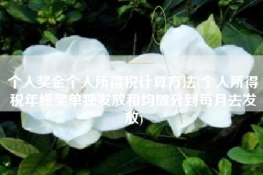 个人奖金个人所得税计算方法(个人所得税年终奖单独发放和均摊分到每月去发放)