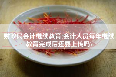财政局会计继续教育(会计人员每年继续教育完成后还要上传吗)