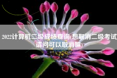 2022计算机二级成绩查询(想取消二级考试请问可以取消嘛)