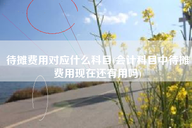 待摊费用对应什么科目(会计科目中待摊费用现在还有用吗)