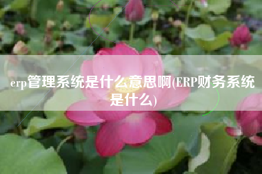 erp管理系统是什么意思啊(ERP财务系统是什么)