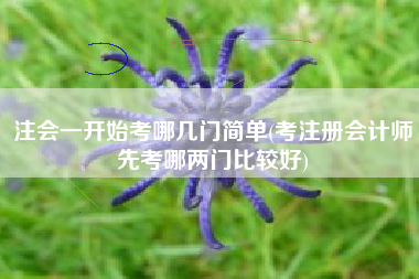 注会一开始考哪几门简单(考注册会计师先考哪两门比较好)