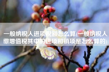 一般纳税人进项税额怎么算(一般纳税人缴增值税其中的进项和销项是怎么算的)