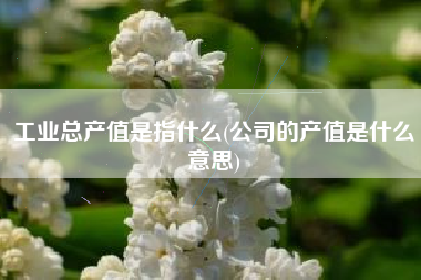 详细阅读:工业总产值是指什么(公司的产值是什么意思) 工业总产值是指什么(公司的产值是什么意思)