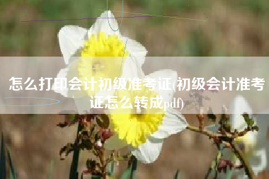 怎么打印会计初级准考证(初级会计准考证怎么转成pdf)