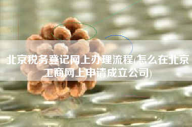 北京税务登记网上办理流程(怎么在北京工商网上申请成立公司)