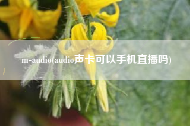 m-audio(audio声卡可以手机直播吗)
