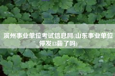 滨州事业单位考试信息网(山东事业单位停发13薪了吗)