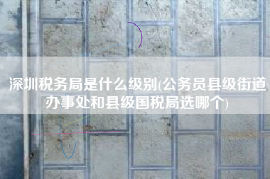 深圳税务局是什么级别(公务员县级街道办事处和县级国税局选哪个)