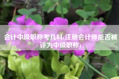 会计中级职称考几科(注册会计师能否被评为中级职称)