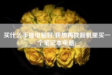 买什么手提电脑好(我想再找靓机里买一个笔记本电脑)