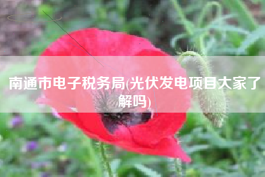 南通市电子税务局(光伏发电项目大家了解吗)