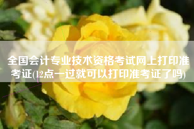 全国会计专业技术资格考试网上打印准考证(12点一过就可以打印准考证了吗)