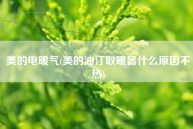 详细阅读:美的电暖气(美的油汀取暖器什么原因不热) 美的电暖气(美的油汀取暖器什么原因不热)