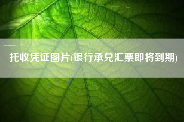 托收凭证图片(银行承兑汇票即将到期)