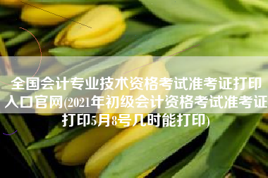 全国会计专业技术资格考试准考证打印入口官网(2021年初级会计资格考试准考证打印5月8号几时能打印)