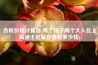 含税价格计算器(两个孩子两个大人在上海迪士尼玩好要花多少钱)