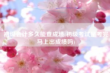 详细阅读:初级会计多久能查成绩(初级考试是考完马上出成绩吗) 初级会计多久能查成绩(初级考试是考完马上出成绩吗)