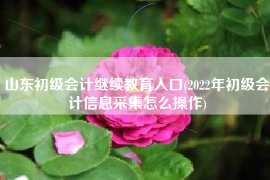 详细阅读:山东初级会计继续教育入口(2022年初级会计信息采集怎么操作) 山东初级会计继续教育入口(2022年初级会计信息采集怎么操作)