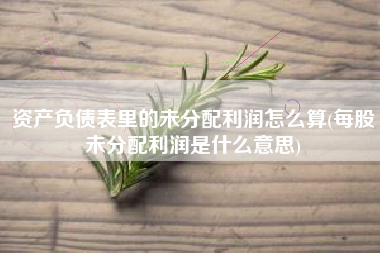 详细阅读:资产负债表里的未分配利润怎么算(每股未分配利润是什么意思) 资产负债表里的未分配利润怎么算(每股未分配利润是什么意思)