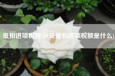 详细阅读:抵扣进项税额(认证抵扣进项税额是什么) 抵扣进项税额(认证抵扣进项税额是什么)