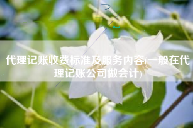 详细阅读:代理记账收费标准及服务内容(一般在代理记账公司做会计) 代理记账收费标准及服务内容(一般在代理记账公司做会计)