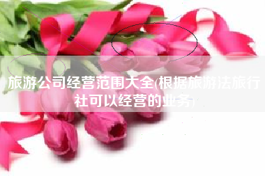 详细阅读:旅游公司经营范围大全(根据旅游法旅行社可以经营的业务) 旅游公司经营范围大全(根据旅游法旅行社可以经营的业务)