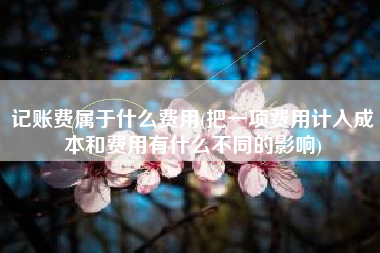 记账费属于什么费用(把一项费用计入成本和费用有什么不同的影响)