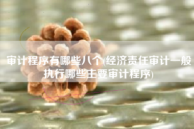 审计程序有哪些八个(经济责任审计一般执行哪些主要审计程序)