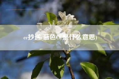 cc抄送(蓝色CC是什么意思)
