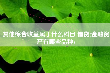 详细阅读:其他综合收益属于什么科目 借贷(金融资产有哪些品种) 其他综合收益属于什么科目 借贷(金融资产有哪些品种)