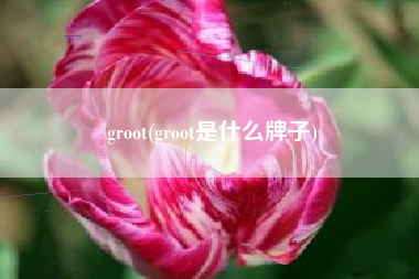 groot(groot是什么牌子)