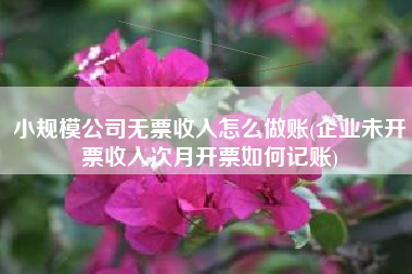 小规模公司无票收入怎么做账(企业未开票收入次月开票如何记账)