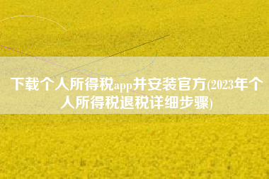 下载个人所得税app并安装官方(2023年个人所得税退税详细步骤)