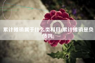 累计摊销属于什么类科目(累计摊销是负债吗)