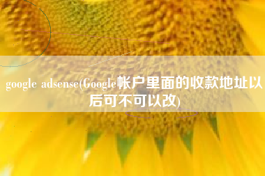 google adsense(Google帐户里面的收款地址以后可不可以改)