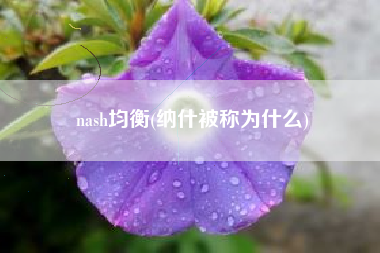 详细阅读:nash均衡(纳什被称为什么) nash均衡(纳什被称为什么)