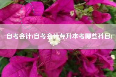 自考会计(自考会计专升本考哪些科目)