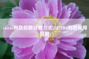 详细阅读:ebitda利息倍数计算公式(EBITDA利息保障倍数) ebitda利息倍数计算公式(EBITDA利息保障倍数)