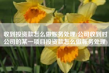 详细阅读:收到投资款怎么做账务处理(公司收到对公司的某一项目投资款怎么做帐务处理) 收到投资款怎么做账务处理(公司收到对公司的某一项目投资款怎么做帐务处理)