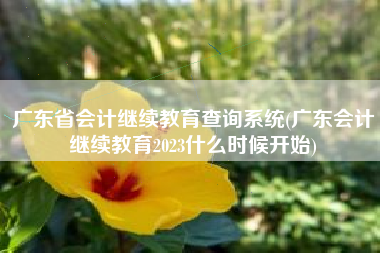 详细阅读:广东省会计继续教育查询系统(广东会计继续教育2023什么时候开始) 广东省会计继续教育查询系统(广东会计继续教育2023什么时候开始)
